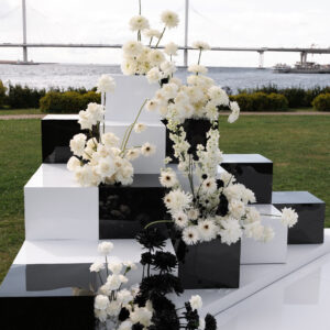 IMG_5772
